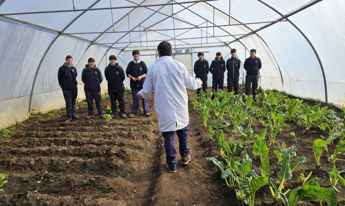 Medio Ambiente Sede Media