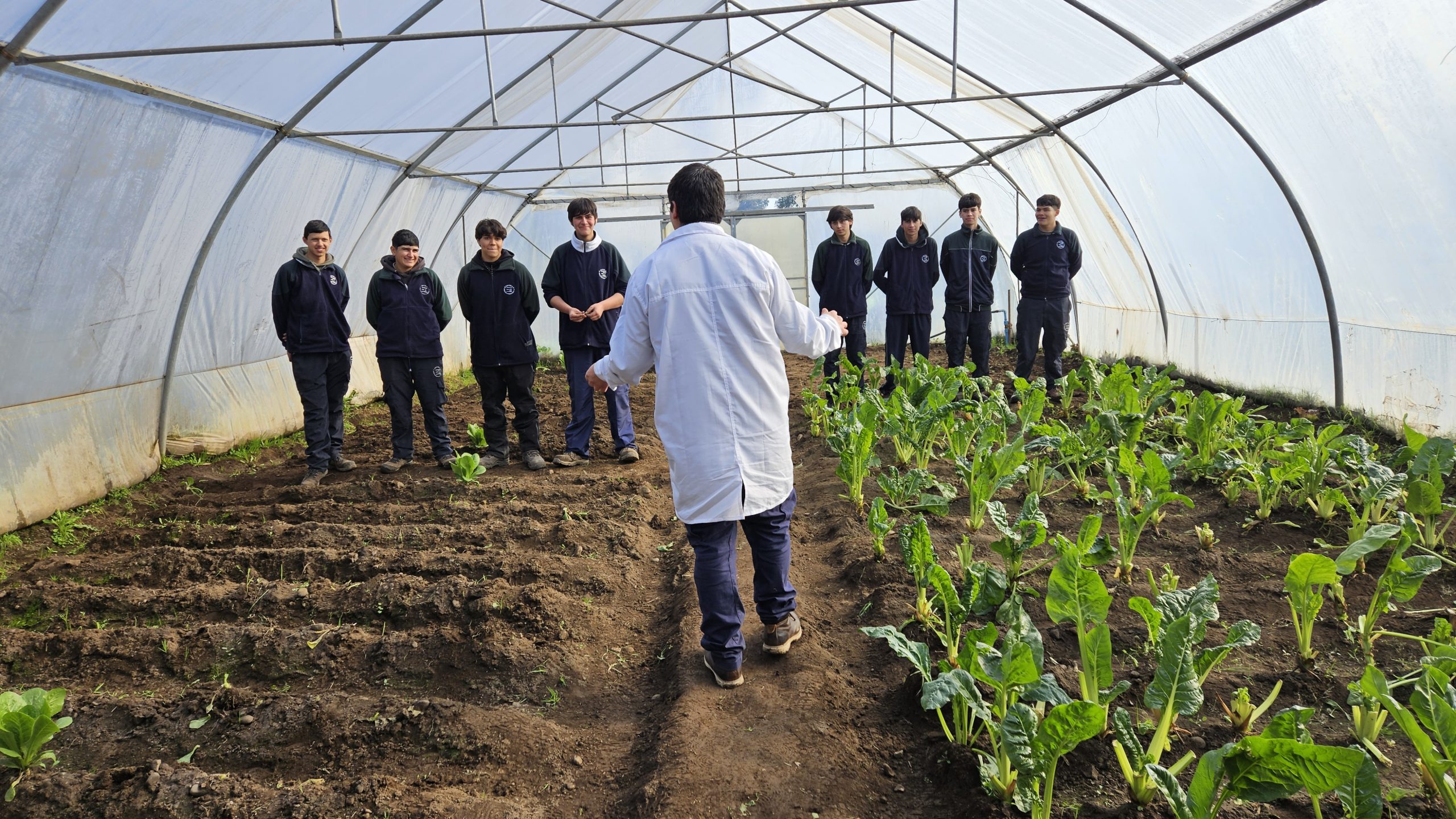 Medio Ambiente Sede Media